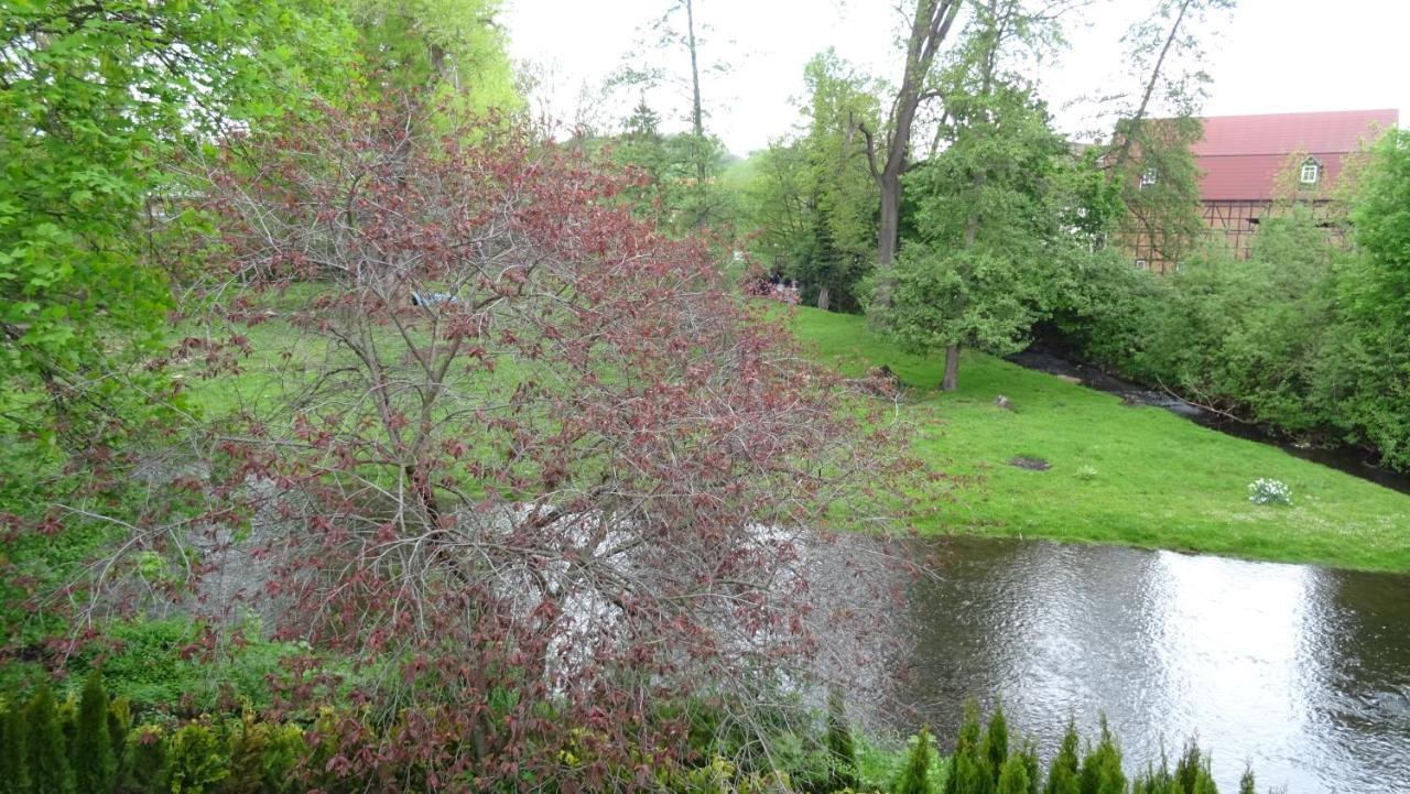 Villa An Der Bode ターレ エクステリア 写真